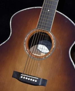 7-STRING GUITAR