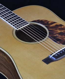 Custom D-28 "Tony Rice" - Santos RW