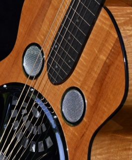 SQUARENECK RESONATOR "Rob Ickes"