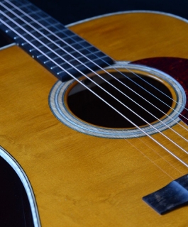 WOODSTOCK DREADNOUGHT