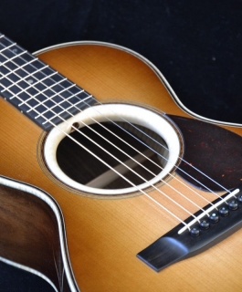 TERZ GUITAR