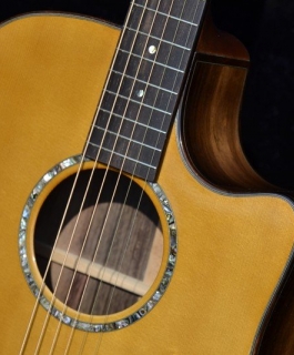 Custom DREADNOUGHT with Cutaway