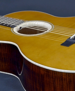Custom BARITONE