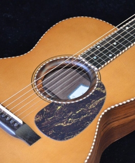 HAWAIIAN STEEL GUITAR