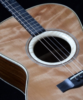 TENOR GUITAR