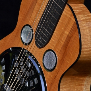 SQUARENECK RESONATOR "Rob Ickes"