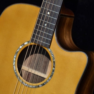 Custom DREADNOUGHT with Cutaway