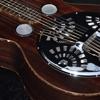 SQUARENECK RESONATOR