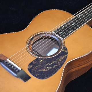 HAWAIIAN STEEL GUITAR