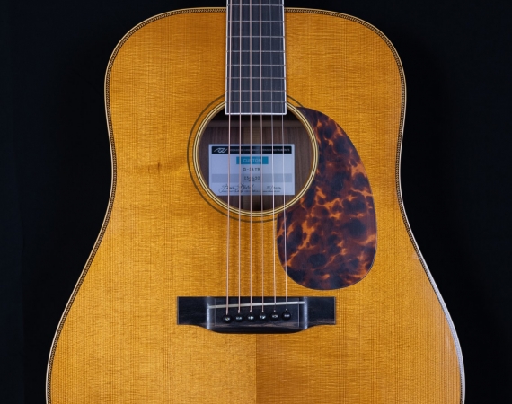 Custom D-28 "Tony Rice" - Santos RW main image
