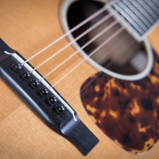 Custom D-28 "Tony Rice" - Madagascar RW