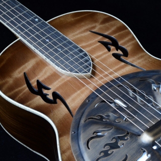 ROUNDNECK RESONATOR