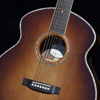 7-STRING GUITAR
