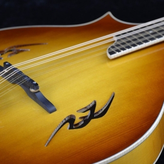 OCTAVE MANDOLIN OM-2