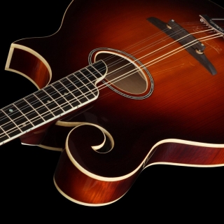 MANDOCELLO MC-4