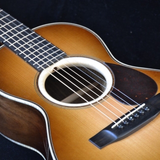 TERZ GUITAR